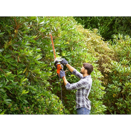 Photo of BLACKDECKER hedge trimmer BEHTS401 used outdoors to trim tall green bushes.