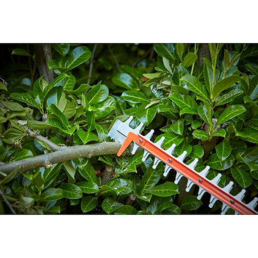 36V Ledningsfri 2.5 Ah 55cm Hækkeklipper
