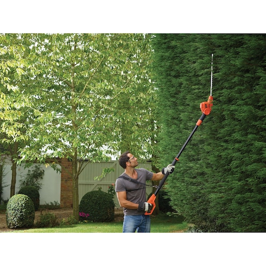 A person uses a BLACK+DECKER pole hedge trimmer (model PH5551) to trim tall hedges in a garden. The tool has an extended pole for reaching high branches, and the person is wearing gloves and a harness for safety.